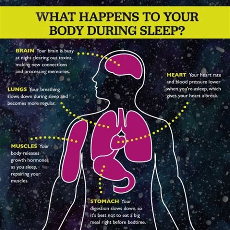 eating for sleep how to eat better and sleep better