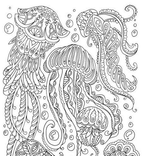 printable fish coloring pages  adults parrot fish coloring