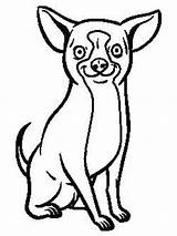 Chihuahua Smallest Chien Gaddynippercrayons Teacup sketch template