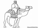 Unta Camels Riding Dromadaire Mewarnai Pasir Kamel Diwarnai Coloriage Menunggang Caravan Crossing Coloriages Realisticcoloringpages sketch template