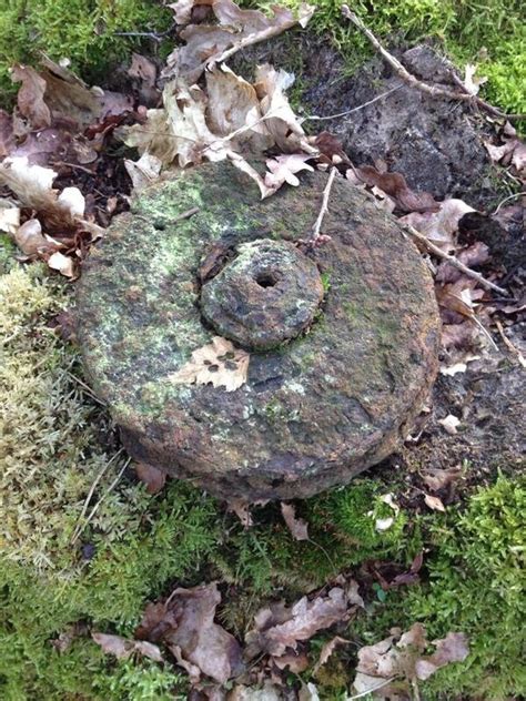 landmijn gevonden  bos bij bergen op zoom foto bndestemnl