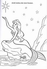 Ausmalbilder Colouring Arielle Filly Pferd Prinzessin sketch template