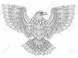 Eagle Coloring Pages Adults Printable Harpy Getdrawings Getcolorings Color sketch template
