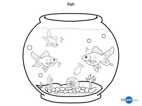 fish bowl drawing  getdrawings