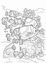 Coral Reef Fish Coloring Kids Fun sketch template