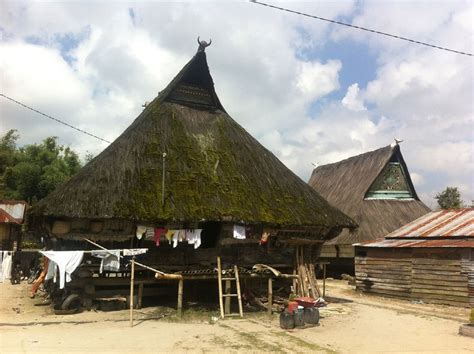 rumah adat karo traditional karo house desa dokan north sumatra  scientific