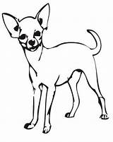 Chihuahua Coloring Pages Clipart Drawing Printable Dog Stencils Da Line Cute Kids Chiwawa Color Dogs Clip Chihuahuas Colorare Easy Stencil sketch template