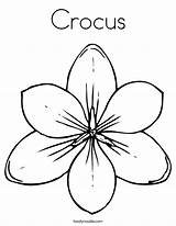 Magnolia Coloring Crocus Pages Clipart Flowers Tundra Printable Flower Drawing Outline Print Cliparts Twistynoodle Built California Usa Noodle Categories sketch template