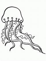 Coloring Sea Pages Clipart Monsters Library Jellyfish sketch template
