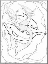 Mermaid Pages Coloring Dolphin Dolphins Fairy Fantasy Mermaids Adults Phee Mcfaddell Colouring Enchanted Color Printable Designs Print Young Amp Adult sketch template