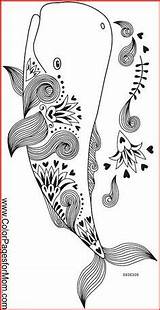 Mandala Mandalas Ballenas Adults Ausmalbilder Embroidery Laminas Visual Seascape Zentangle Coloriage Kritzeleien Wal Tiere Jellyfish Malen Abmalen Muscheln Colorpagesformom sketch template