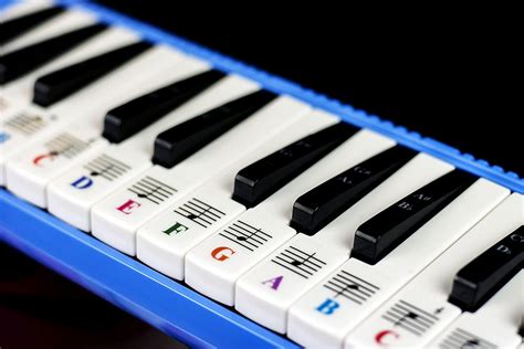 piano stickers   key melodica transparent  removable