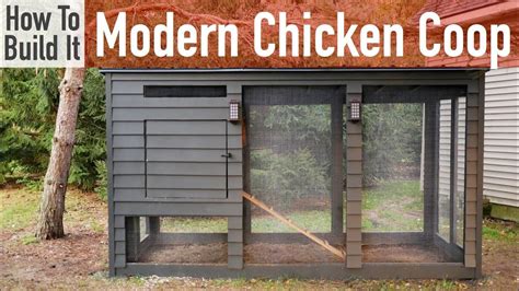 build  modern chicken coop youtube