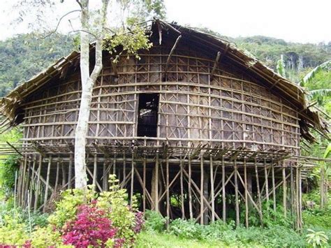 ciri khas rumah adat papua gambar rumah bagus banget