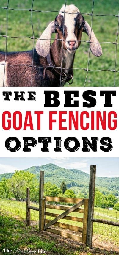 options  goat fencing   range life