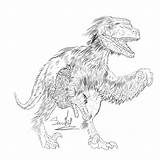 Feather Line Drawing Velociraptor Getdrawings sketch template