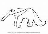Anteater Draw Cartoon Step Drawing Kids Tutorials Drawingtutorials101 Tutorial Animals sketch template