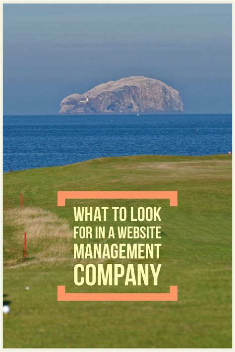 website management companies   website management management