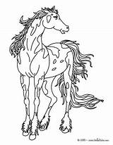 Horse Coloring Pages Wild Print Horses Color Hellokids Animal Old Choose Board Icolor West sketch template