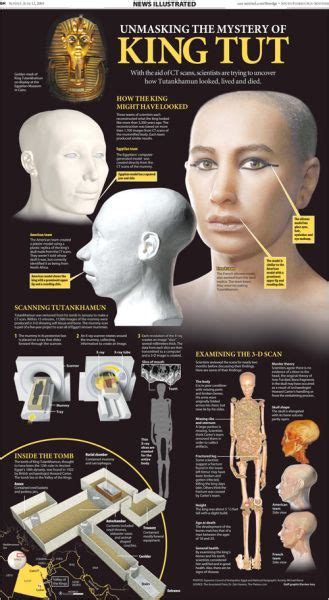 unmasking king tut infographic ancient greece facts
