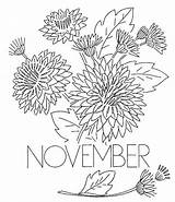 Coloring November Pages Chrysanthemum Flower Printable Flowers Book Print Color Henkes Kevin Getcolorings Kids Advertisement Scribblefun Getdrawings Coloringpagebook sketch template