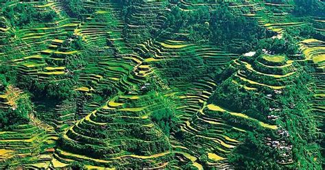 Banaue Rice Terraces [1600x1200] Imgur