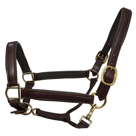 thinline padded leather horse halter  brass fittings