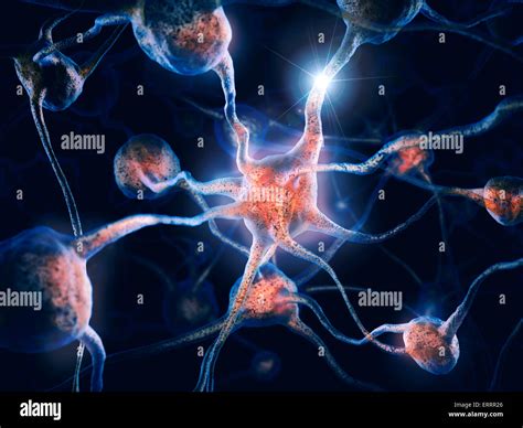network  neurons  neural connections brain cells scientific stock photo royalty