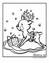 Reindeer Coloringhome sketch template
