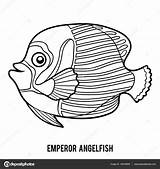 Imperador Anjo Peixe Angelfish Vetorial Savva Ksenya Depositphotos sketch template