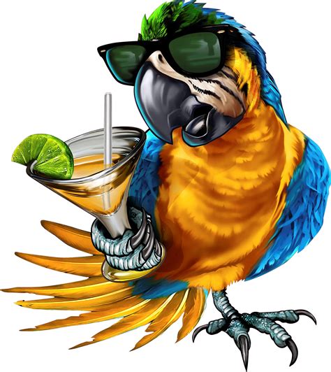 drinking parrot decal full color parrot  sunglasses etsy