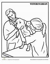 Veterinarian Helpers Veterinary sketch template