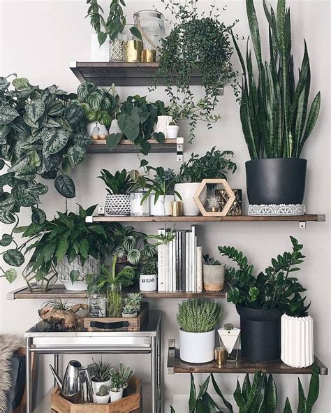 diy indoor plant display ideas