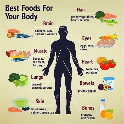 Best Food For Your Body Essential Fats Health And Wellbeing Fitness