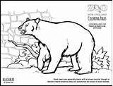 Planet Animal Coloring Pages Getdrawings Zoo Colouring sketch template
