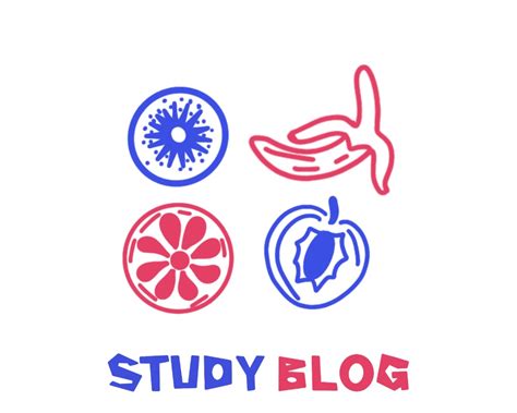 fruits vocabulary  chinese study blog  educational platform