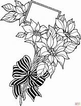 Poinsettia Designlooter Bouquet sketch template