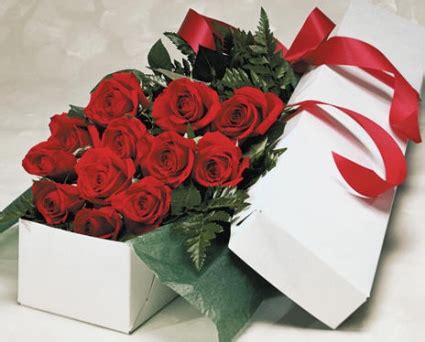 Dozen Roses - Gift Boxed in Edmonton, AB - Janice's Grower