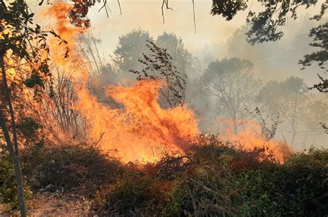 Forest Fires Damage 4 298 Hectares Of Land This Year In Turkey Daily