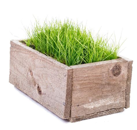 green grass  wooden box stock image image  lawn
