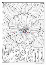 Nigeria Flower National Colouring Pages Village Activity Explore sketch template
