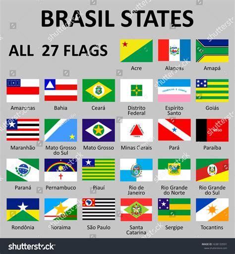 brazil states flags official colors  royalty  stock vector