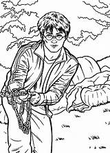 Potter Harry Prisoner Azkaban Coloring Fun Kids Votes sketch template