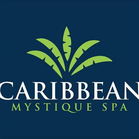 caribbean mystique massage wellness spa  tampa tampa fl