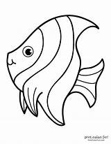 Printcolorfun Moorish Idol sketch template