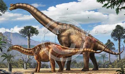 Giraffotitan Dinossauros