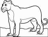 Lion Coloring Pages Female Color Getcolorings sketch template