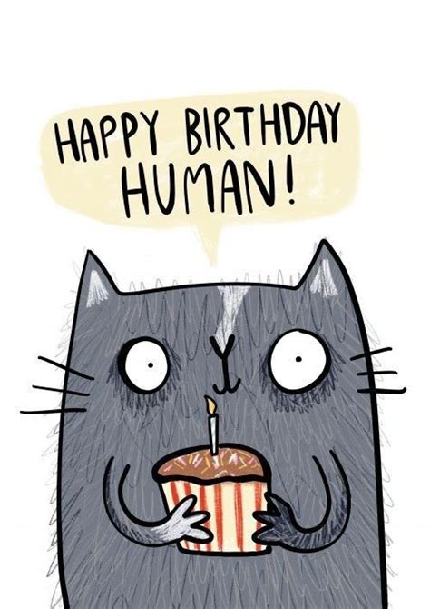 pin de terry buffum en bd con imágenes feliz cumpleaños gatos feliz cumpleaños hipster