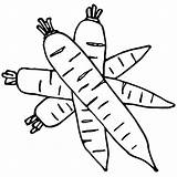 Colorear Zanahoria Zanahorias Bugs Disfruta Pintando Conejo Rato sketch template