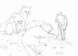 Warrior Cats Coloring Pages Cat Fighting Getdrawings Getcolorings Color sketch template